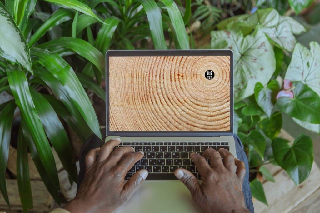 Top Level Traffic Web Design Bridgend and South Wales, U.K Embracing Nature The Allure of Natural Textures in Web Design - 2024